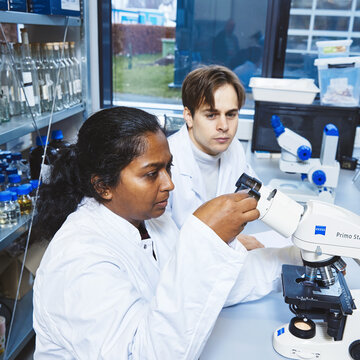 Microscopic examination of resources A female student in a white lab coat is looking intently through the eyepiece of a light microscope. Next to her sits a male student, also in a lab coat, watching what is happening. In the background, various laboratory utensils and glass bottles are arranged on shelves.