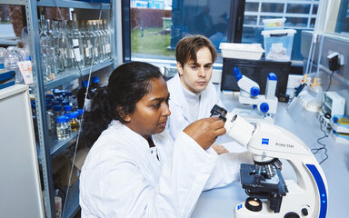 Microscopic examination of resources A female student in a white lab coat is looking intently through the eyepiece of a light microscope. Next to her sits a male student, also in a lab coat, watching what is happening. In the background, various laboratory utensils and glass bottles are arranged on shelves.